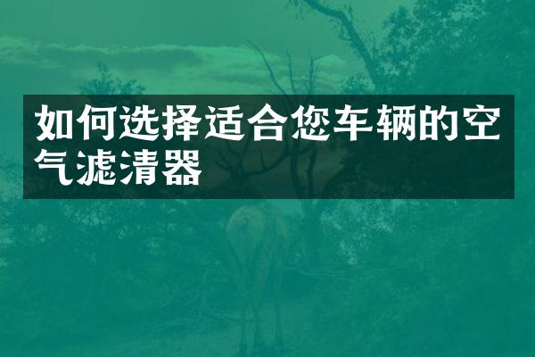 如何选择适合您车辆的空气滤清器