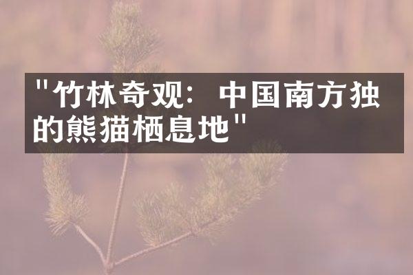 "竹林奇观：中国南方独特的熊猫栖息地"
