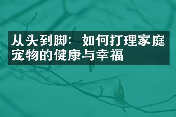 从头到脚：如何打理家庭宠物的健康与幸福