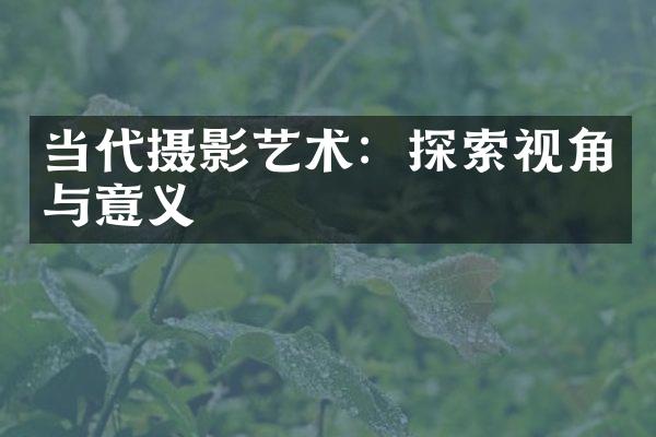 当代摄影艺术：探索视角与意义