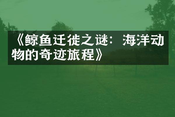 《鲸鱼迁徙之谜：海洋动物的奇迹旅程》