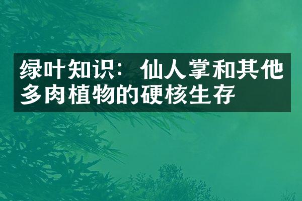 绿叶知识：仙人掌和其他多肉植物的硬核生存