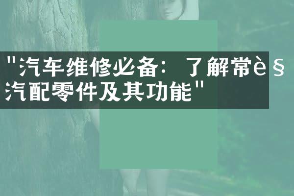 "汽车维修必备：了解常见汽配零件及其功能"