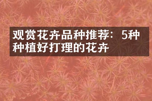 观赏花卉品种推荐：5种易种植好打理的花卉