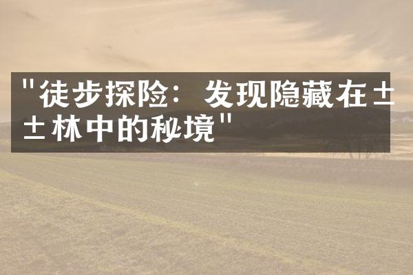 "徒步探险：发现隐藏在山林中的秘境"