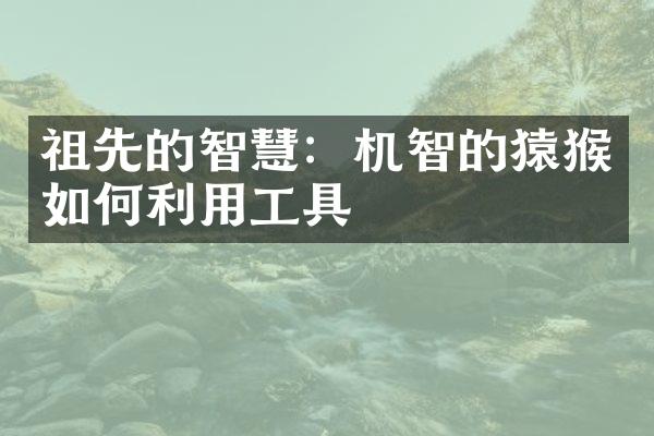祖先的智慧：机智的猿猴如何利用工具