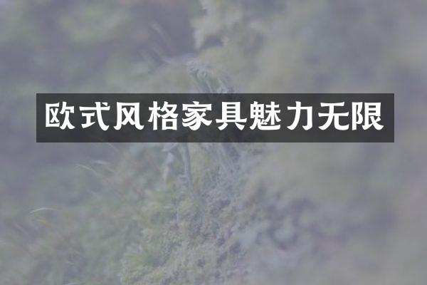 欧式风格家具魅力无限
