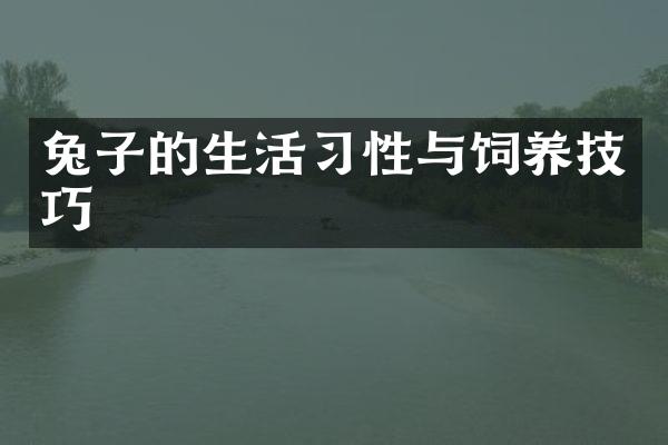 兔子的生活习性与饲养技巧