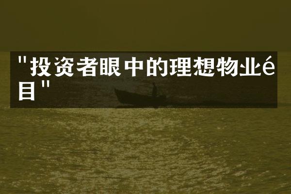 "投资者眼中的理想物业项目"