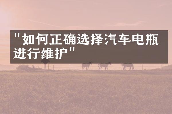 "如何正确选择汽车电瓶并进行维护"