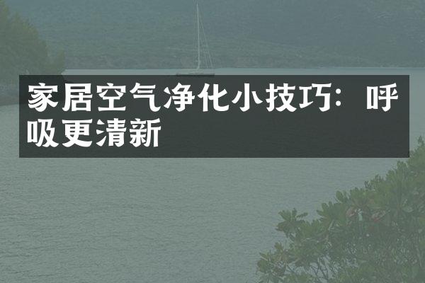 家居空气净化小技巧：呼吸更清新