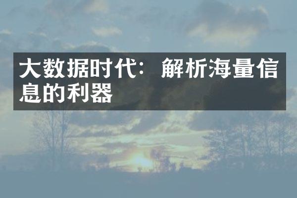 大数据时代：解析海量信息的利器