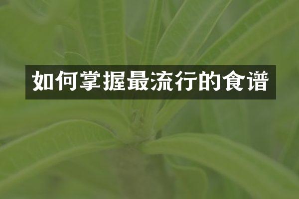 如何掌握最流行的食谱