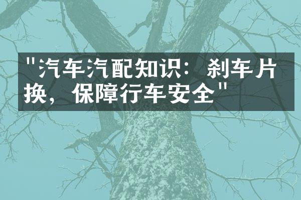 "汽车汽配知识：刹车片更换，保障行车安全"