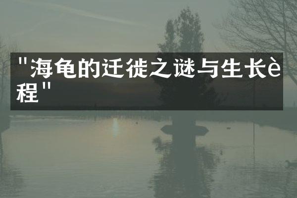 "海龟的迁徙之谜与生长过程"