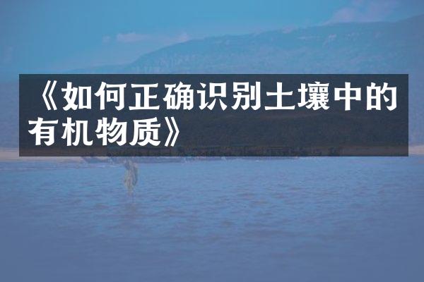 《如何正确识别土壤中的有机物质》
