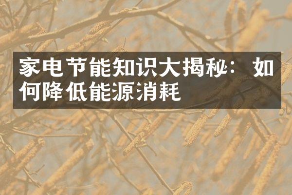 家电节能知识大揭秘：如何降低能源消耗