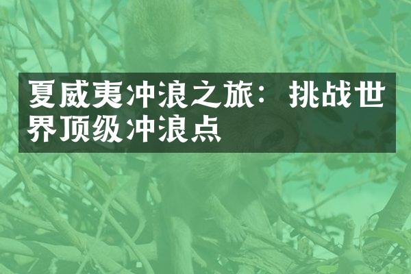 夏威夷冲浪之旅：挑战世界顶级冲浪点