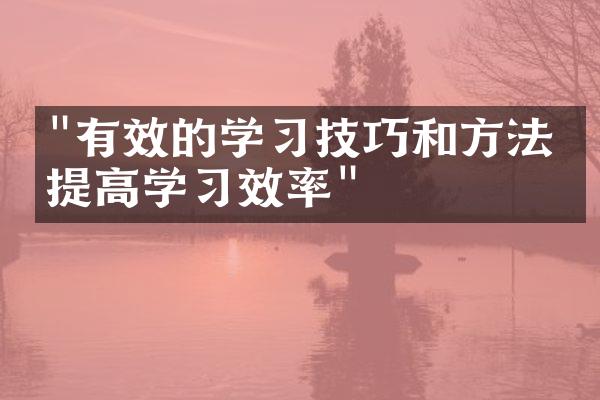 "有效的学习技巧和方法：提高学习效率"