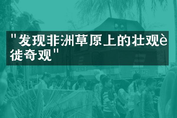 "发现非洲草原上的壮观迁徙奇观"