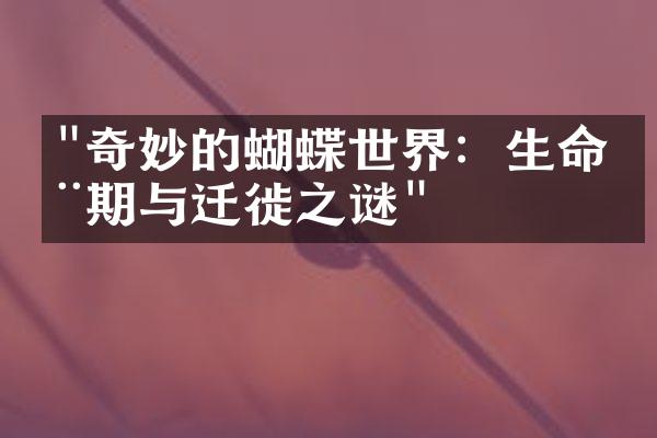 "奇妙的蝴蝶世界：生命周期与迁徙之谜"