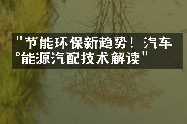 "节能环保新趋势！汽车新能源汽配技术解读"