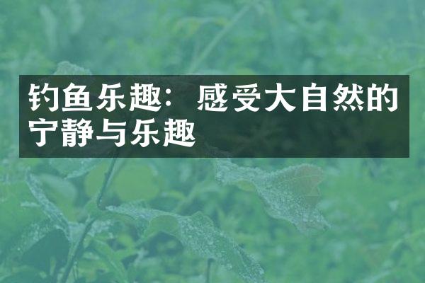 钓鱼乐趣：感受大自然的宁静与乐趣