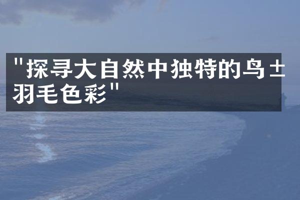 "探寻大自然中独特的鸟类羽毛色彩"