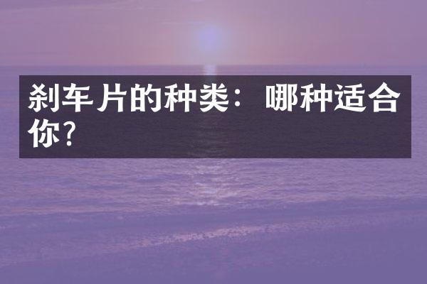 刹车片的种类：哪种适合你？
