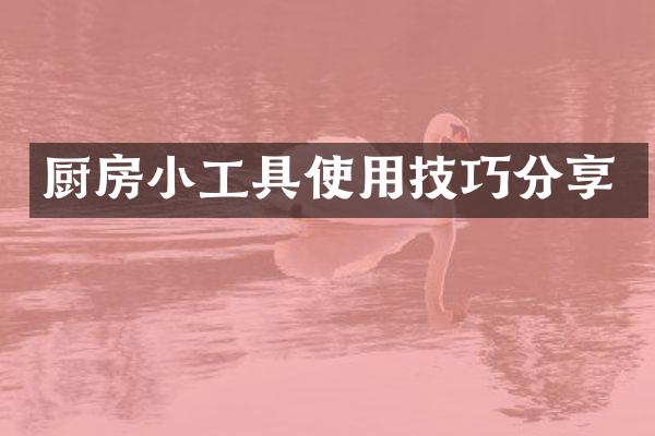 厨房小工具使用技巧分享