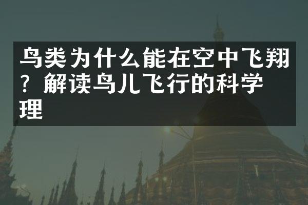 鸟类为什么能在空中飞翔？解读鸟儿飞行的科学原理