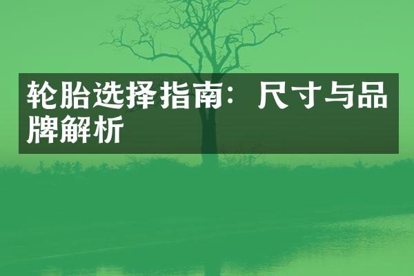 轮胎选择指南：尺寸与品牌解析