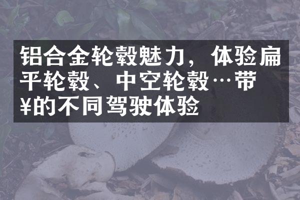 铝合金轮毂魅力，体验扁平轮毂、中空轮毂…带来的不同驾驶体验