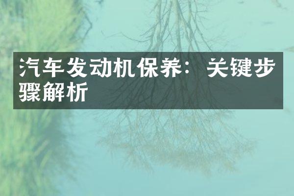 汽车发动机保养：关键步骤解析