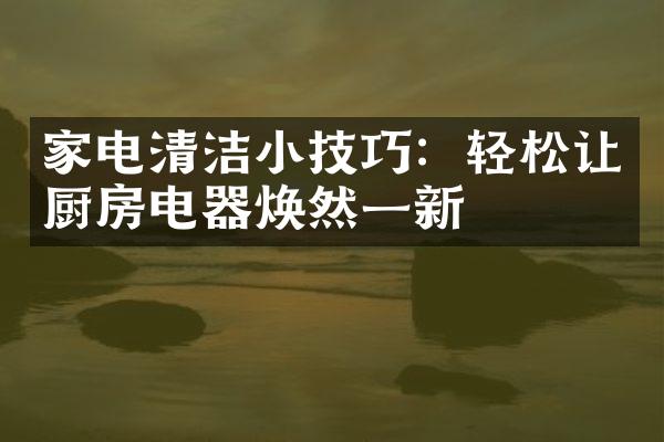 家电清洁小技巧：轻松让厨房电器焕然一新