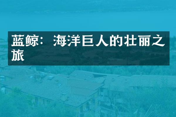 蓝鲸：海洋巨人的壮丽之旅