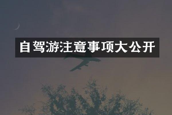 自驾游注意事项大公开