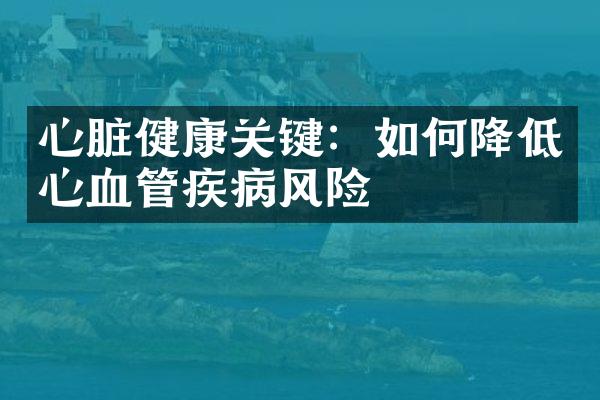 心脏健康关键：如何降低心血管疾病风险