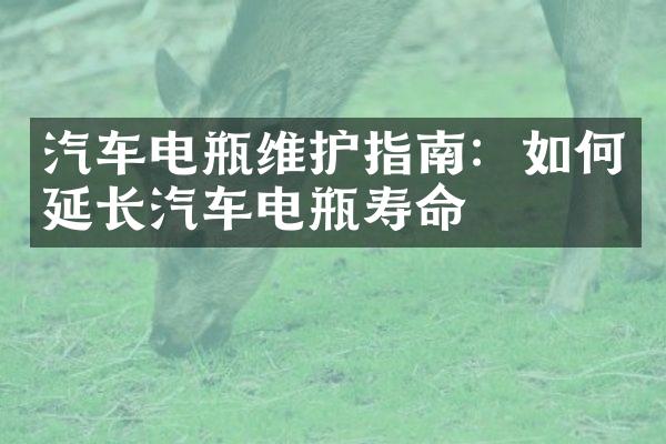 汽车电瓶维护指南：如何延长汽车电瓶寿命