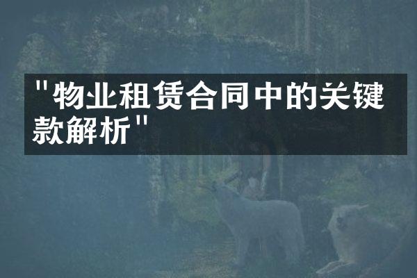 "物业租赁合同中的关键条款解析"