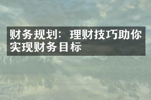 财务规划：理财技巧助你实现财务目标