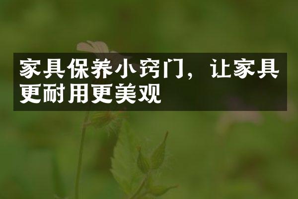 家具保养小窍门，让家具更耐用更美观