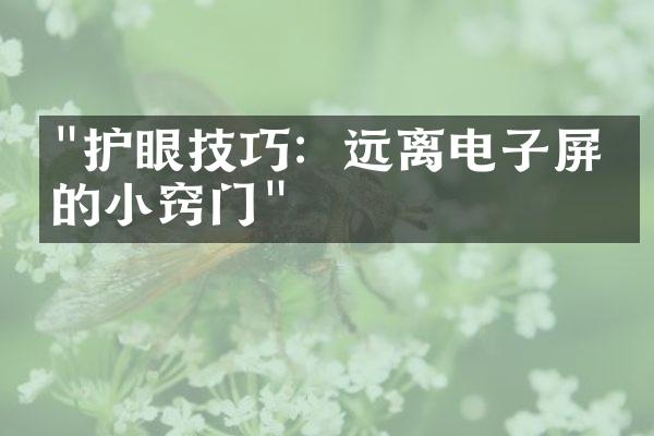 "护眼技巧：远离电子屏幕的小窍门"