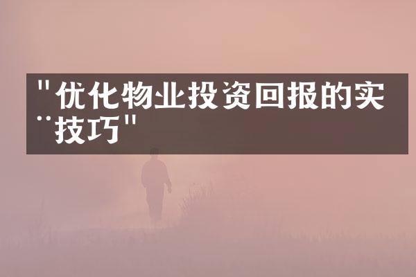 "优化物业投资回报的实用技巧"