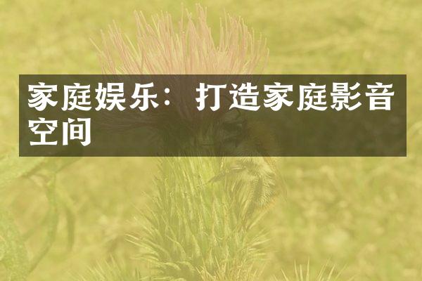 家庭娱乐：打造家庭影音空间