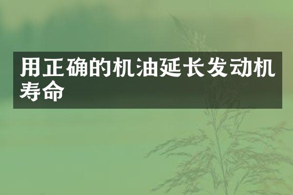 用正确的机油延长发动机寿命