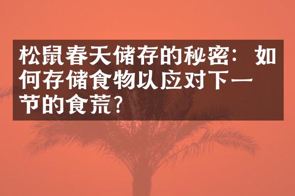 松鼠春天储存的秘密：如何存储食物以应对下一季节的食荒？
