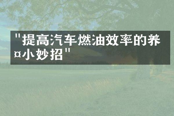 "提高汽车燃油效率的养护小妙招"