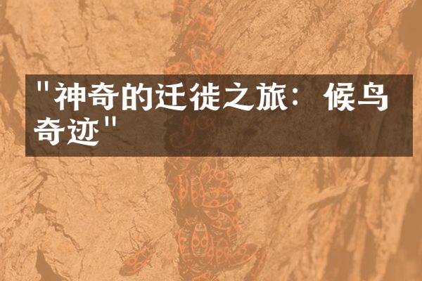 "神奇的迁徙之旅：候鸟的奇迹"