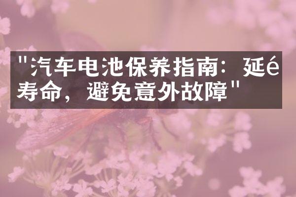 "汽车电池保养指南：延长寿命，避免意外故障"